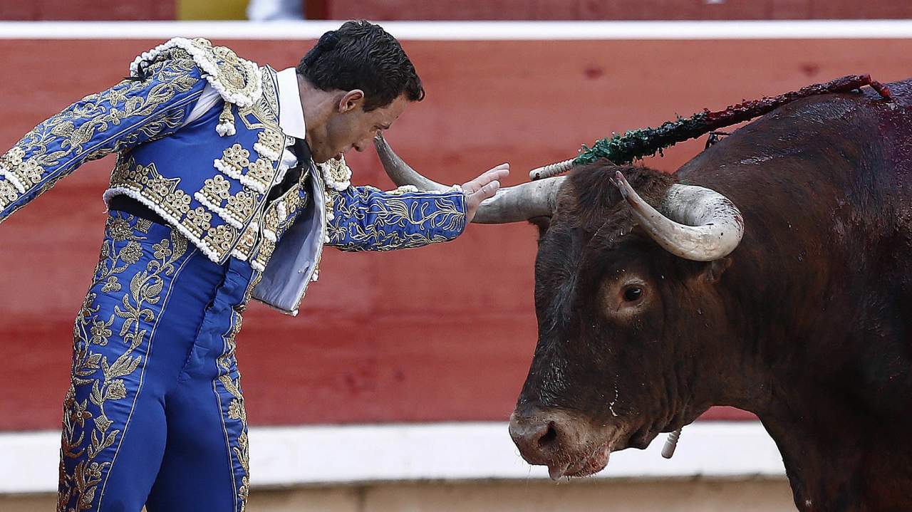 Cabeza de toro para colgar