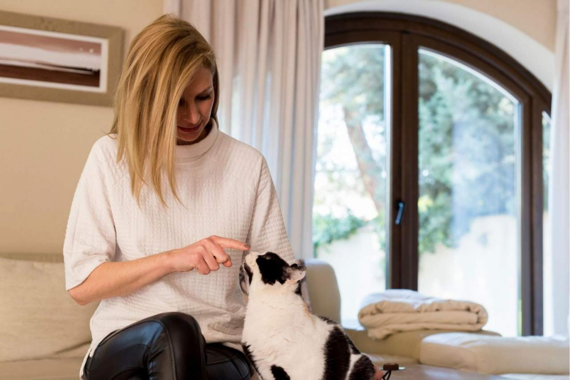 Encantadora de Gatos: ¿Cómo educar a un gato para que no muerda?