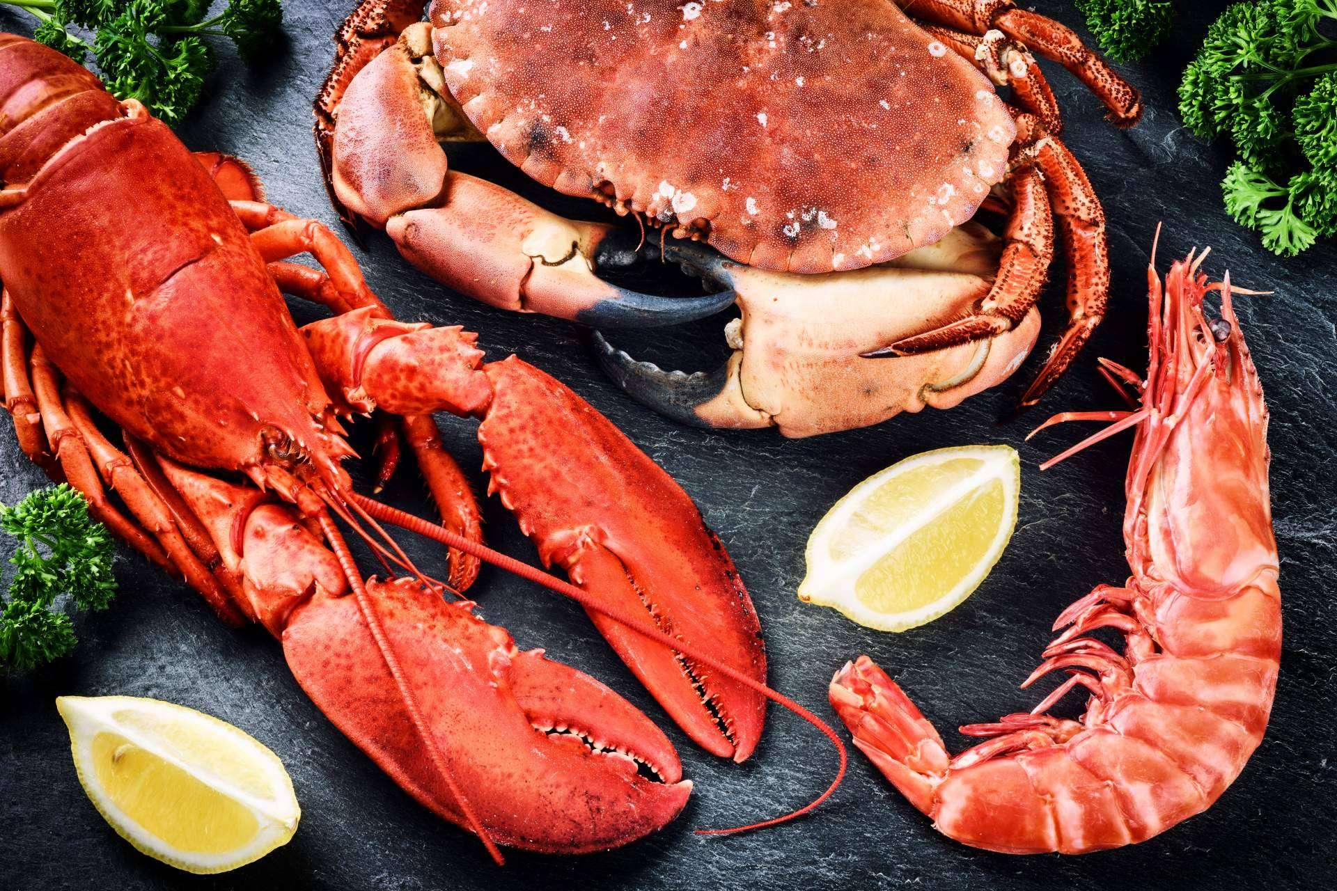 Servicio de venta para restaurantes de la mano Marisco Galego
