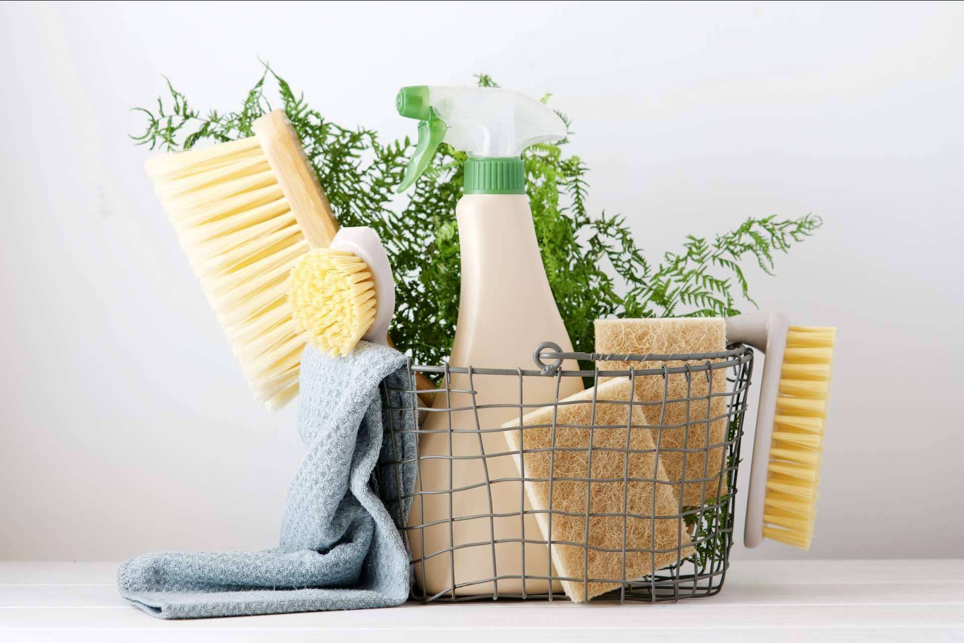 Las ventajas de abrir una Ecocleans franquicia