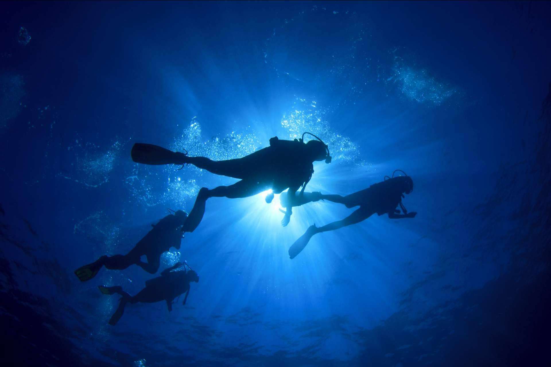 Gestión Emocional: cursos de gestión de estrés en el buceo