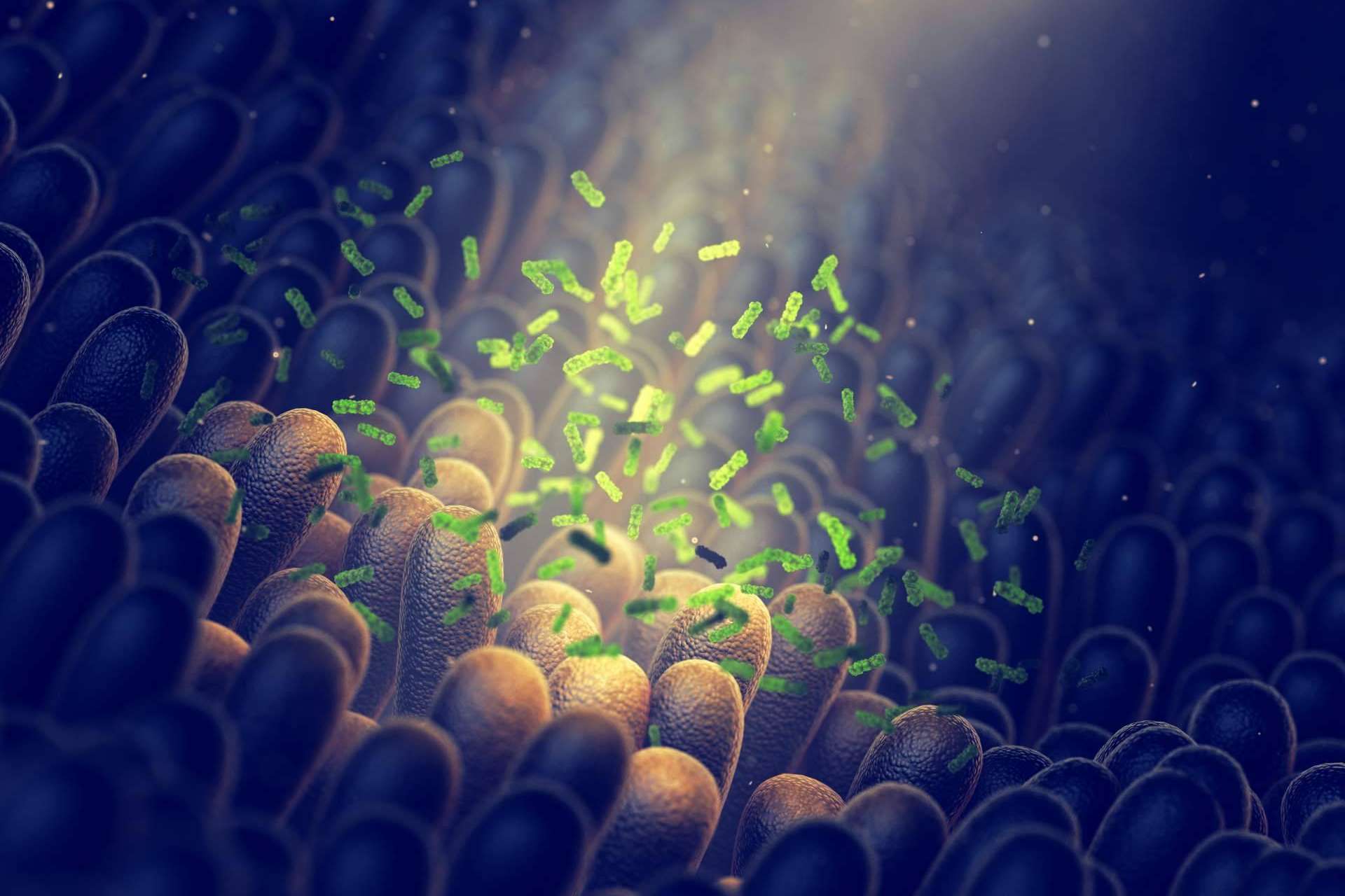 ¿Hay algún tratamiento para la disbiosis intestinal?