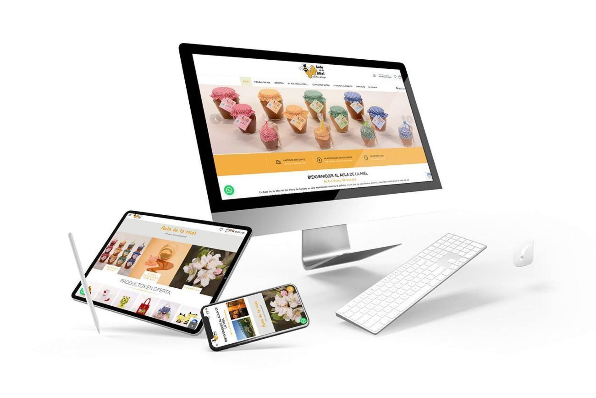 Diseño de tiendas online o diseño de e-commerce con el objetivo de conseguir más clientes y aumentar la rentabilidad del negocio