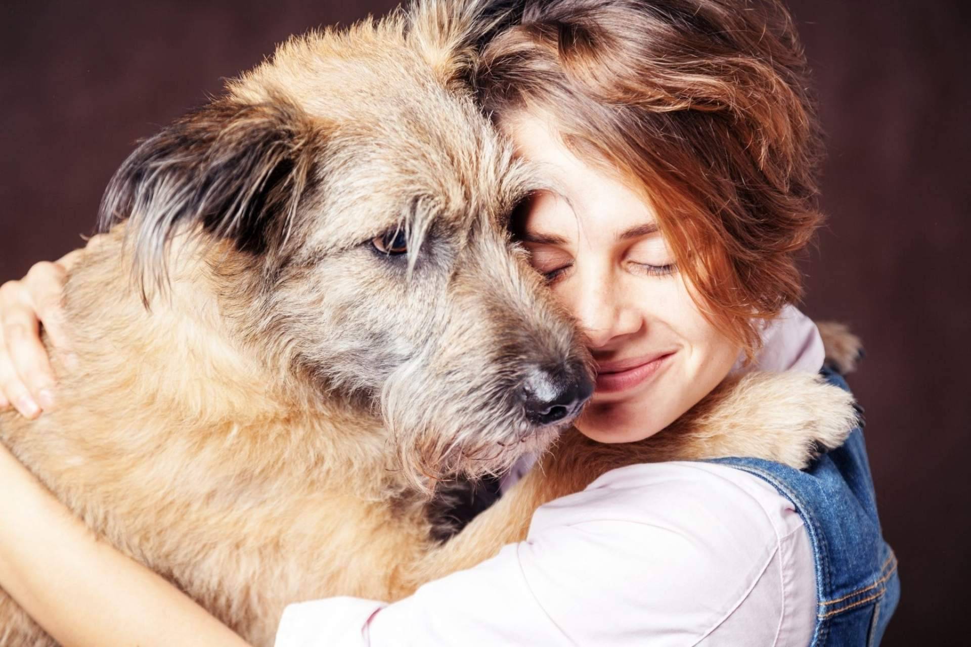 El buscador de animales en adopción Adopta Un Animal
