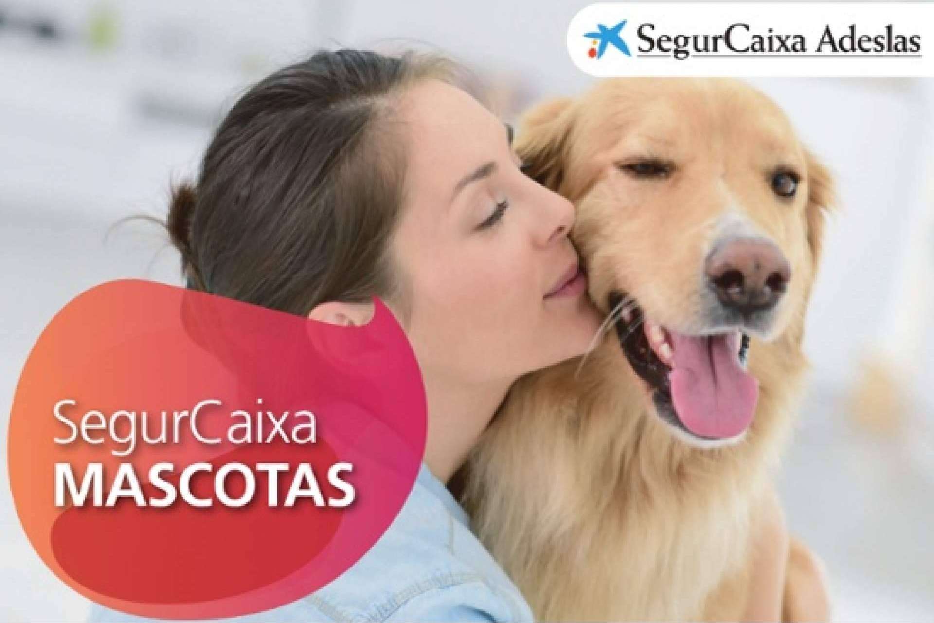 Proteger la salud de las mascotas y de sus dueños con el seguro para perros y gatos de Adeslas Mascotas