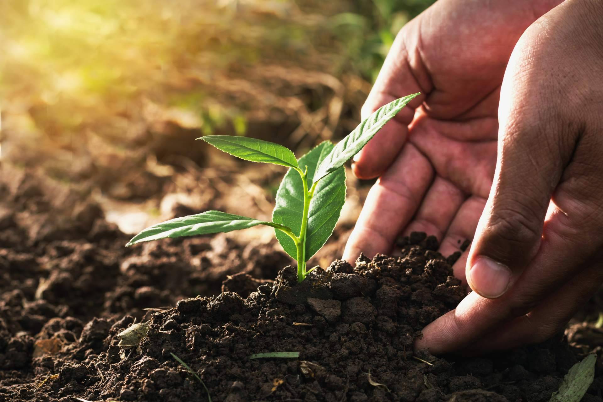 Compostadores para convertir los residuos en abono