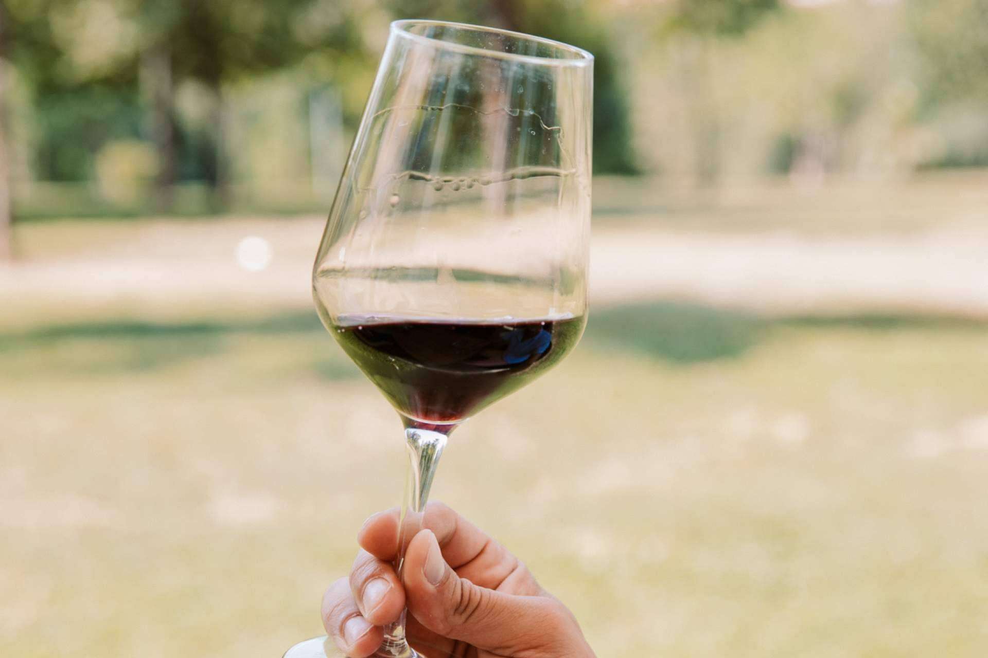 Las razones para comprar Bag in Box de vino, disponible en Vinoenbox.com