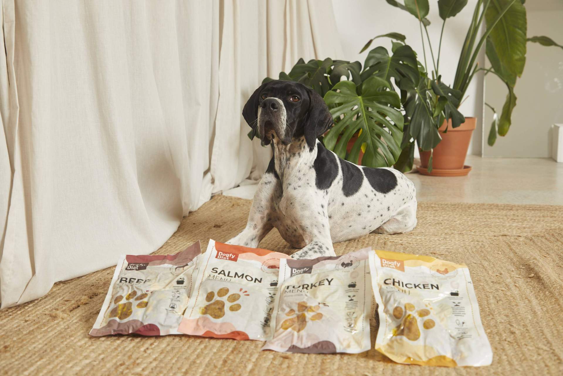 ¿Cuáles son los beneficios de la comida natural para perros?