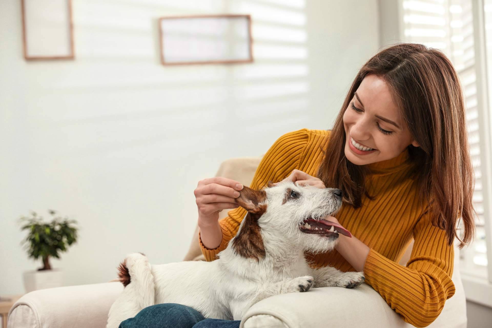 El Perro Feliz presenta 'Bécate', ofreciendo 6 becas de 7.500 € para emprender un negocio propio