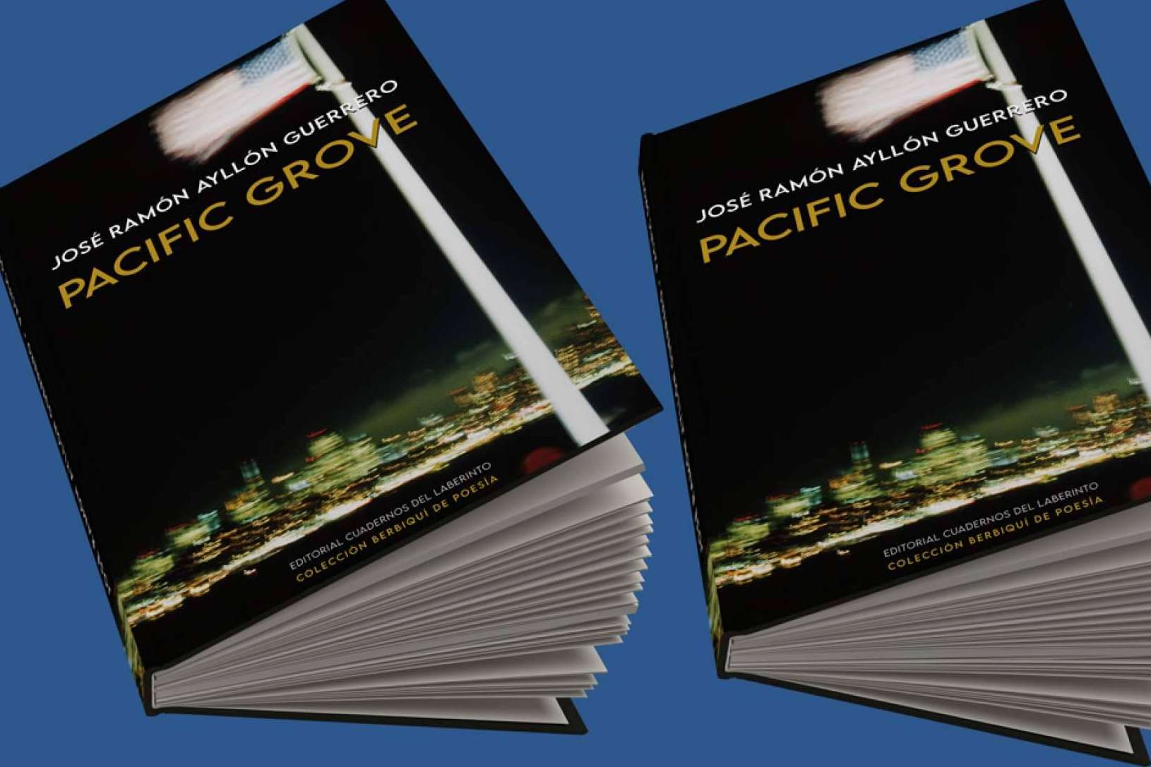 'Pacific Grove', de José Ramón Ayllón Guerrero. Poesía y viaje.