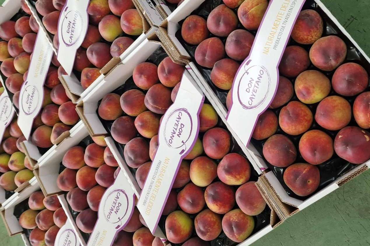 Frutas Don Cayetano, exportadores de frutas de hueso