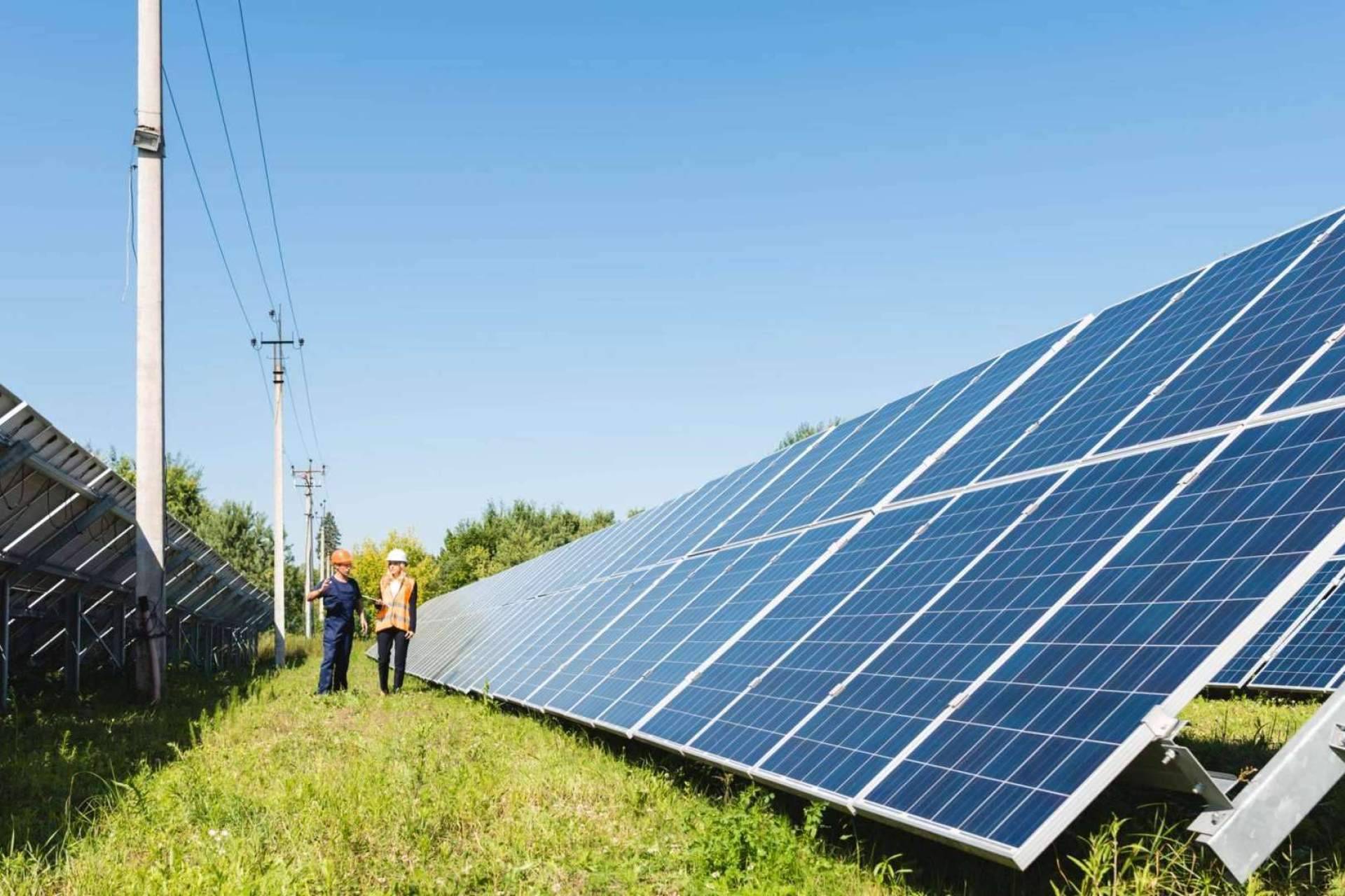 Vatios Verdes destaca las características del auge de los paneles solares