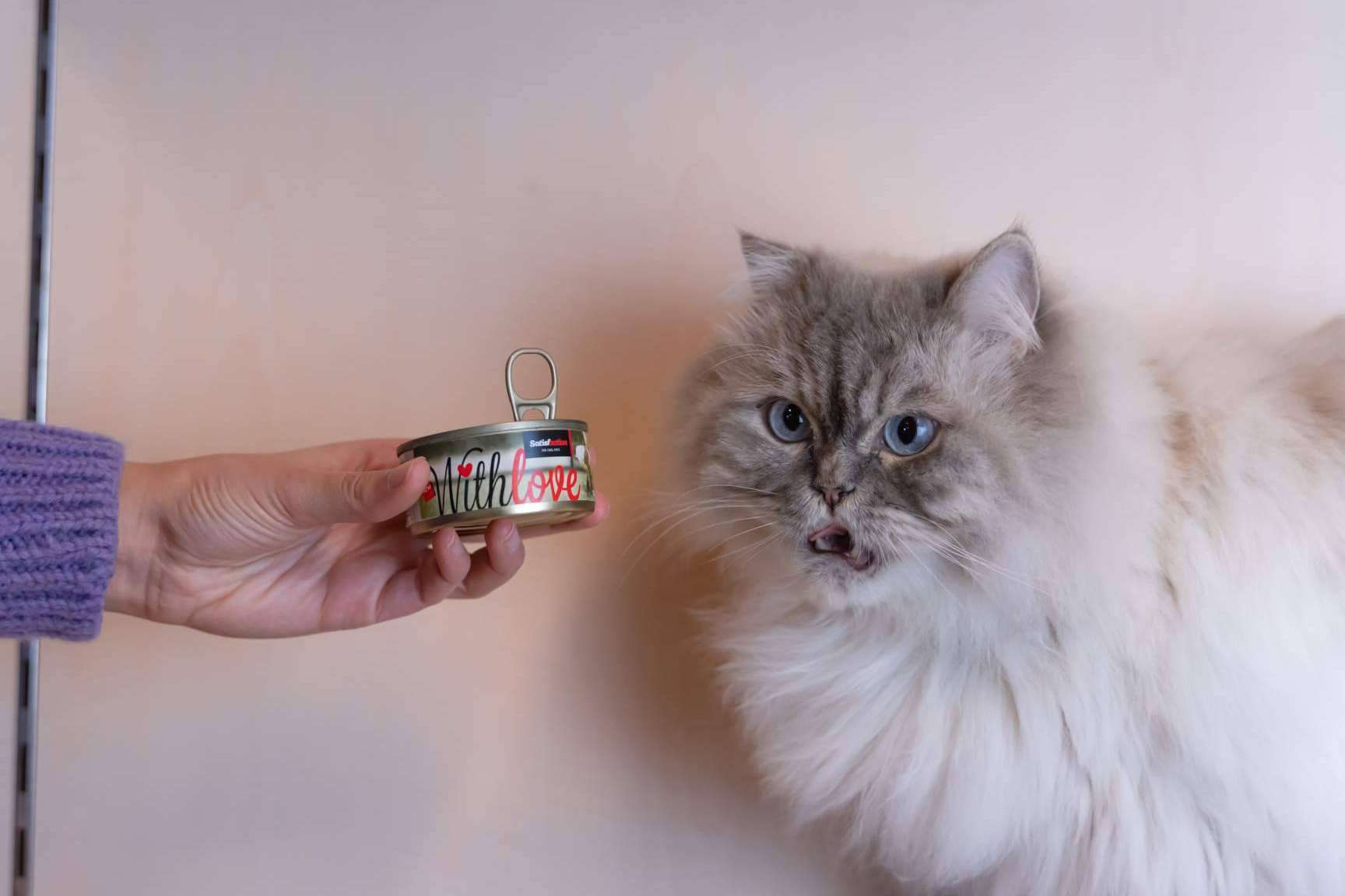 With Love, la nueva gama de comida húmeda para perros y gatos de Satisfaction