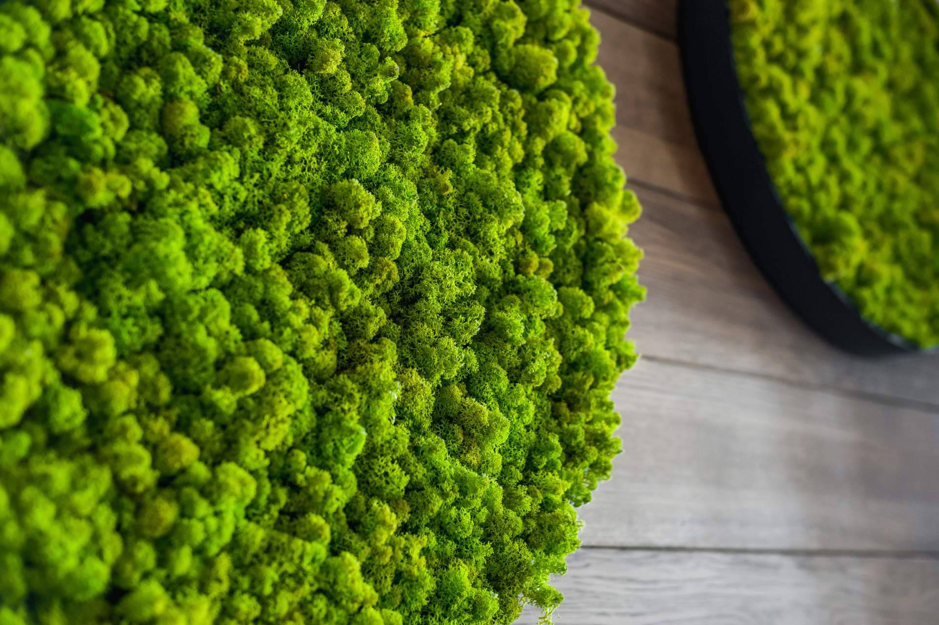 El musgo artificial es uno de los productos estrella en JardínVertical.es