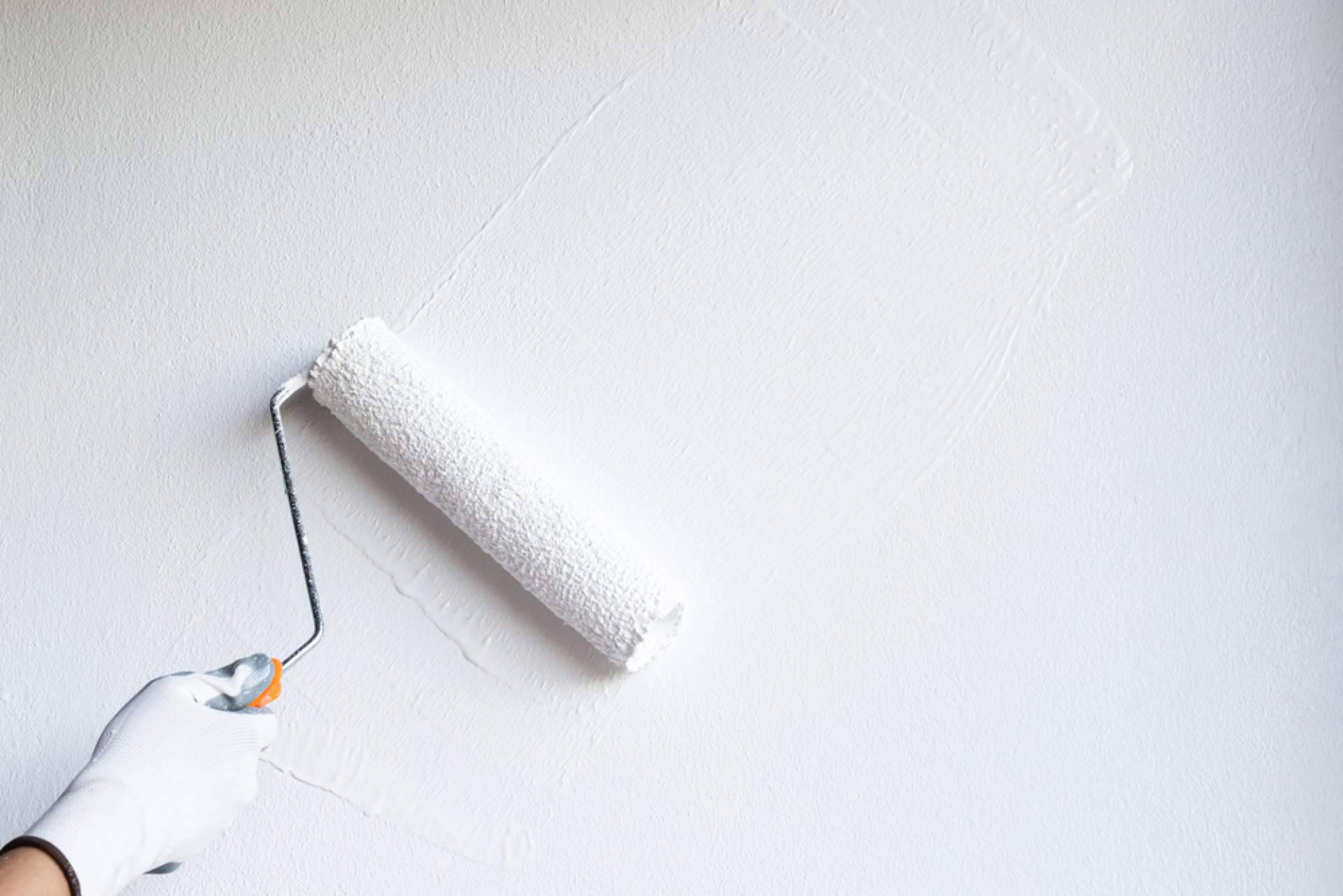 Las pinturas plásticas de interior de Palcanarias