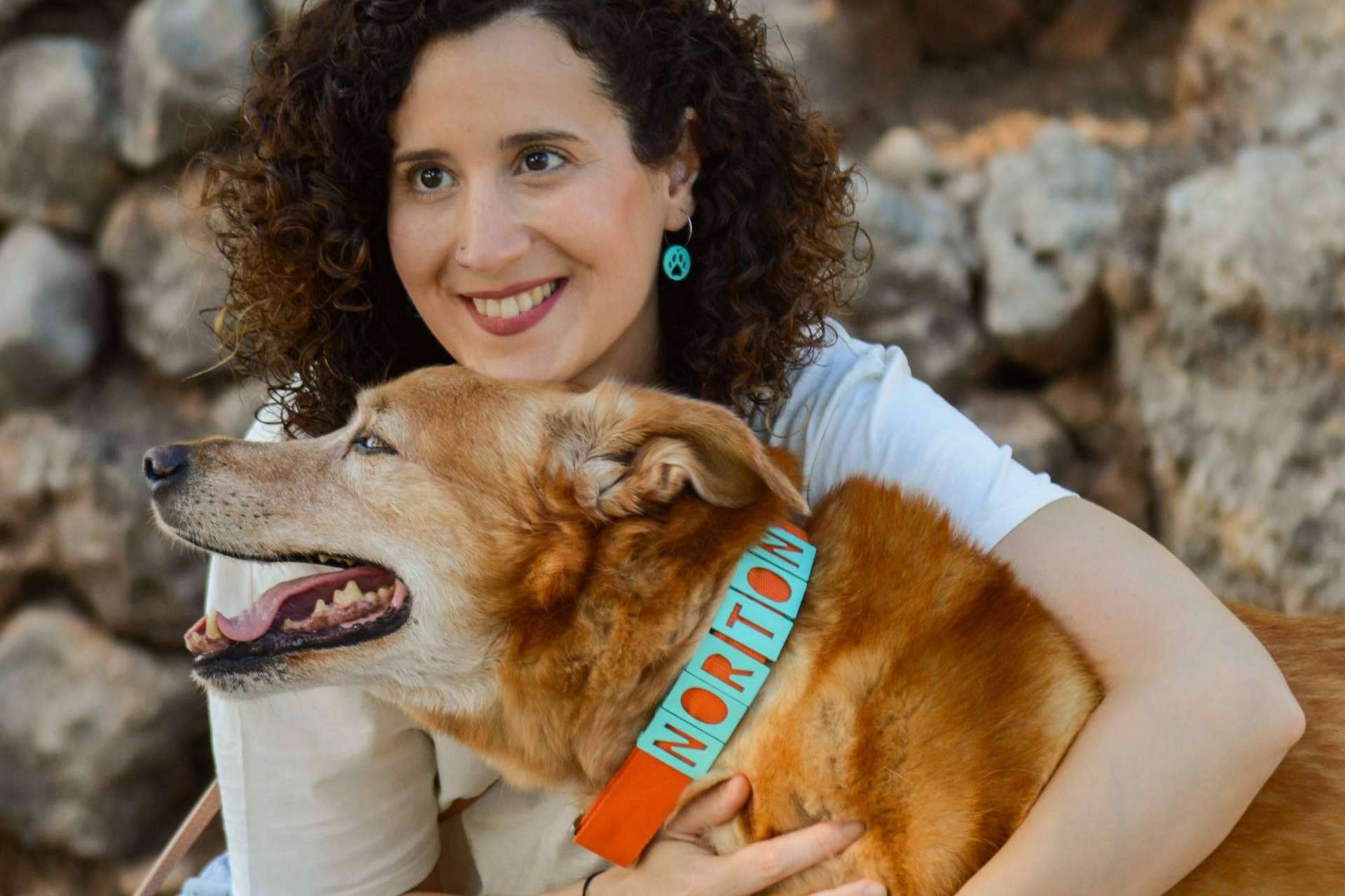 Los collares perros personalizados de Seron Estilo
