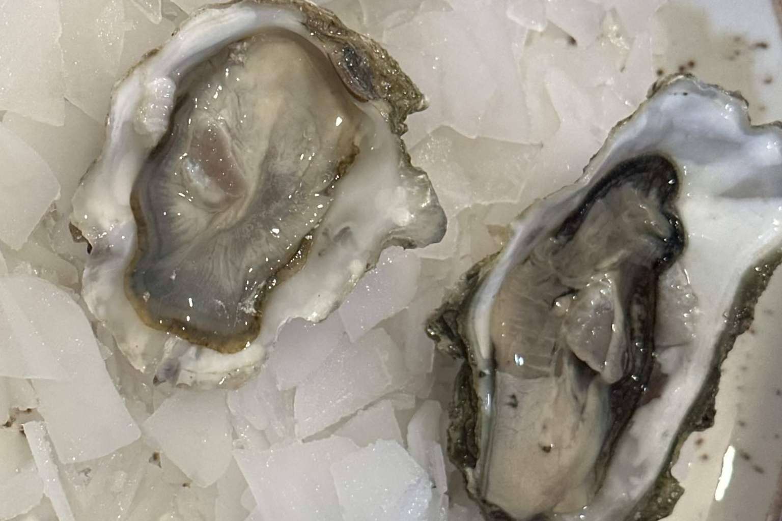 Vivir una experiencia gastronómica mediterránea en la marisquería Rías Baixas Pulpería
