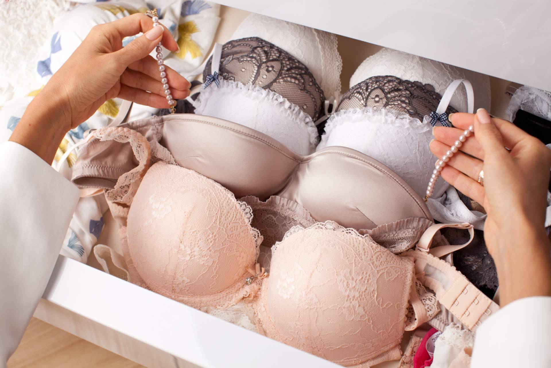 Proveedor de lencería para las mejores tiendas de moda íntima, Almacenes Toledo