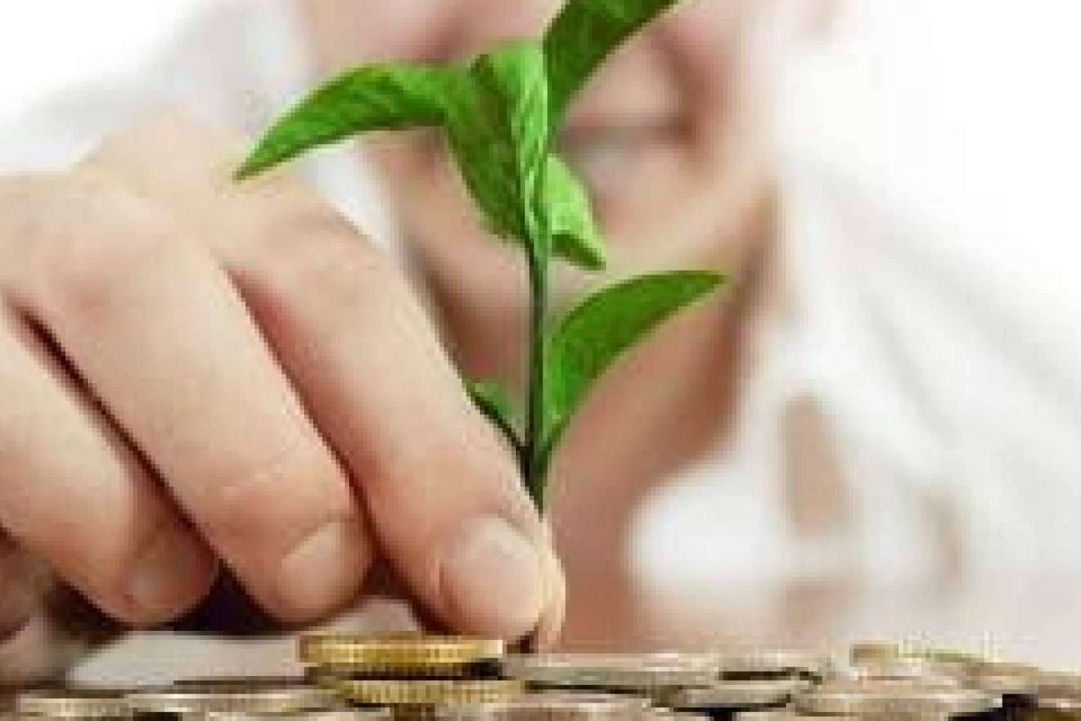 Las ventajas de contar con un asesor financiero personal