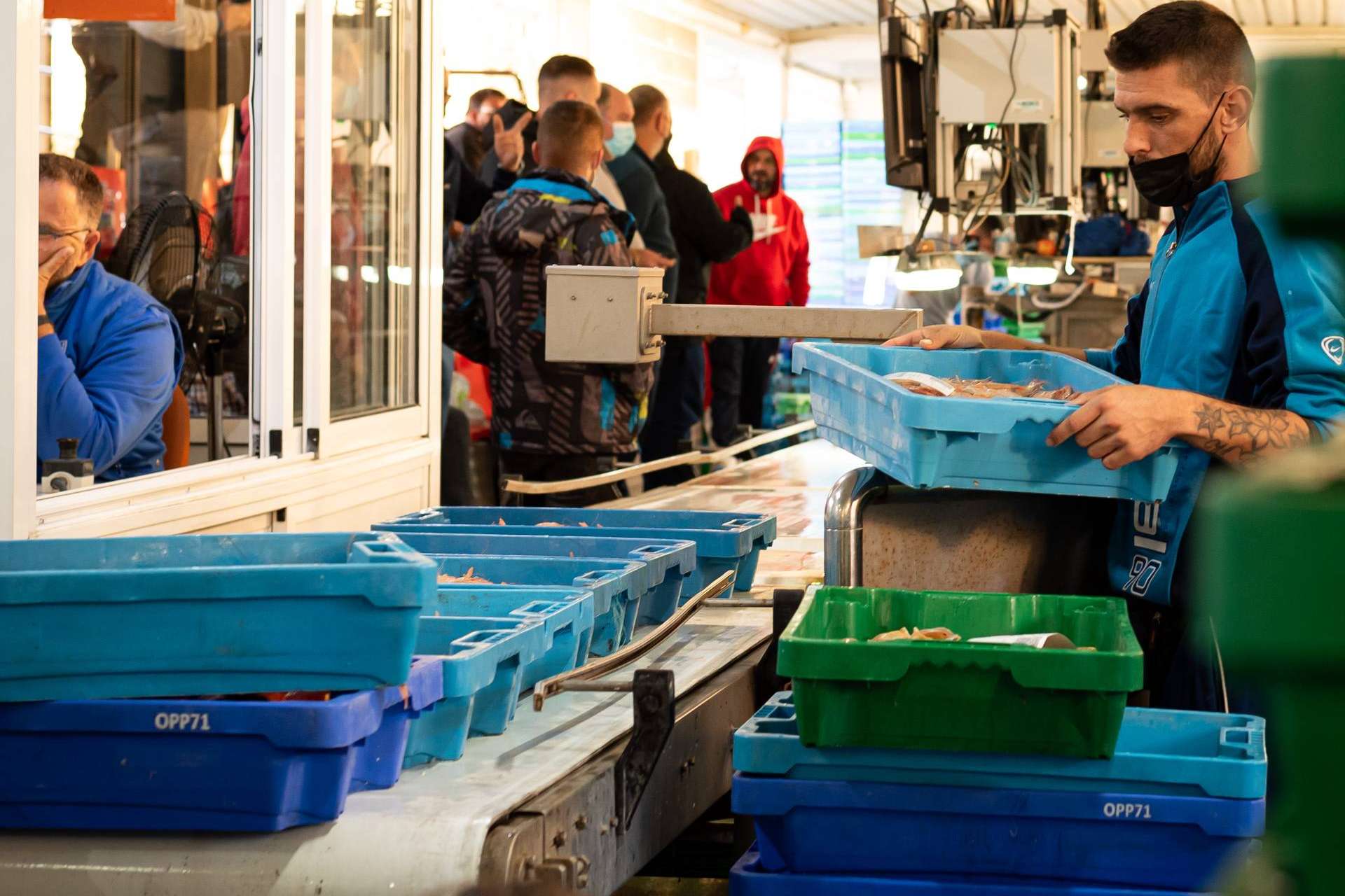 Lonja de Ayamonte, venta de pescado y marisco fresco a toda España