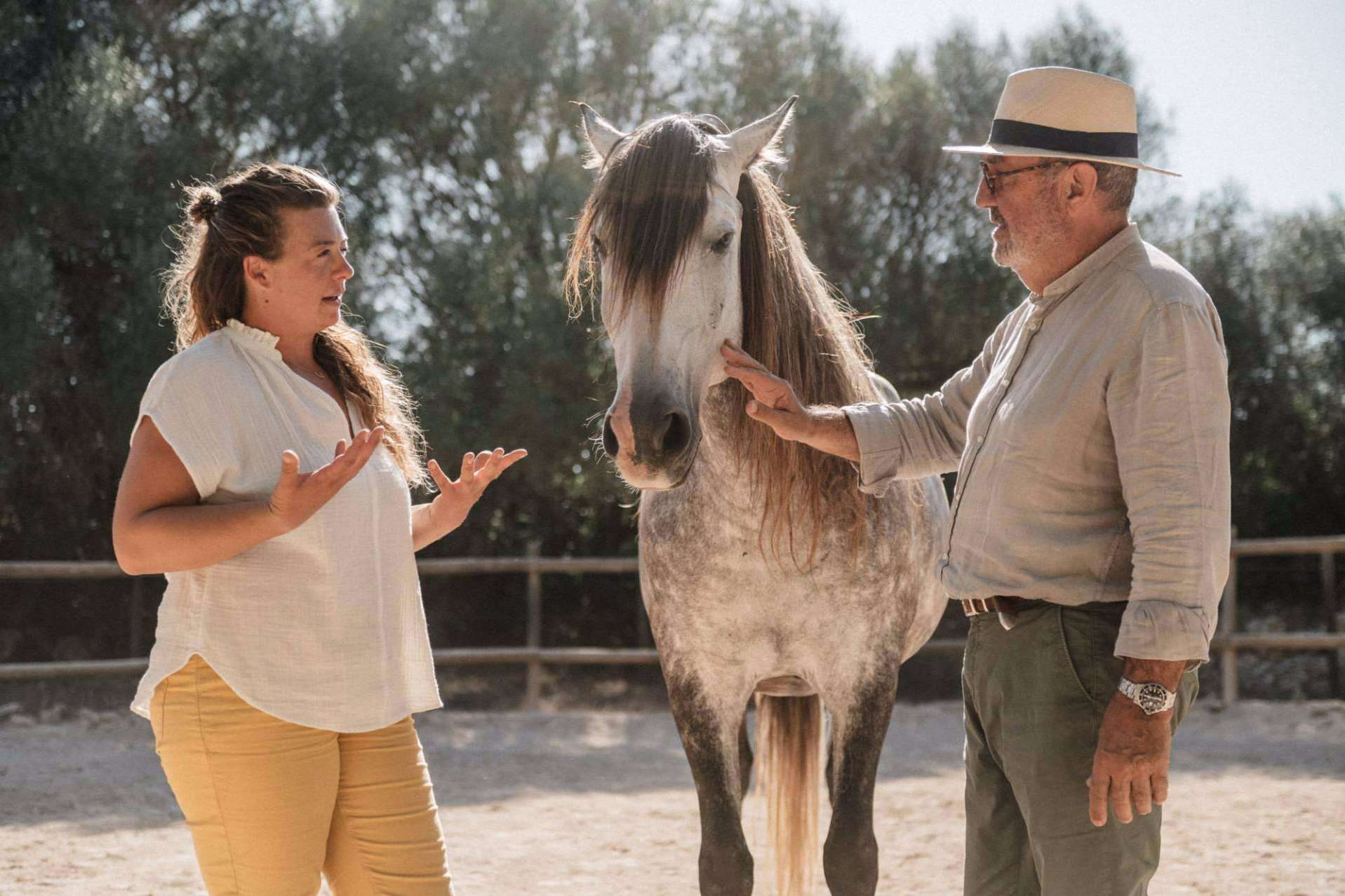 Coaching asistido con caballos de la mano de Son Cavalls