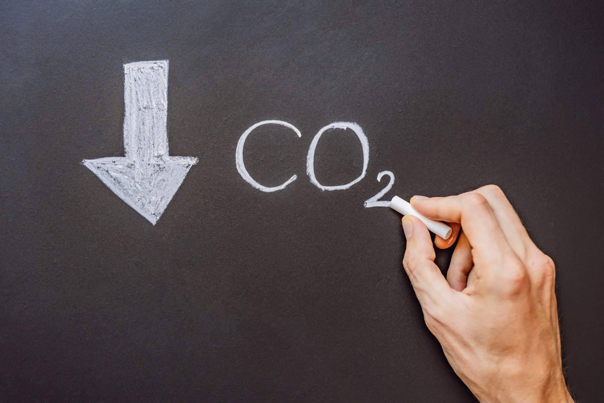 Ingade ofrece apoyo a empresas que buscan reducir su huella de carbono