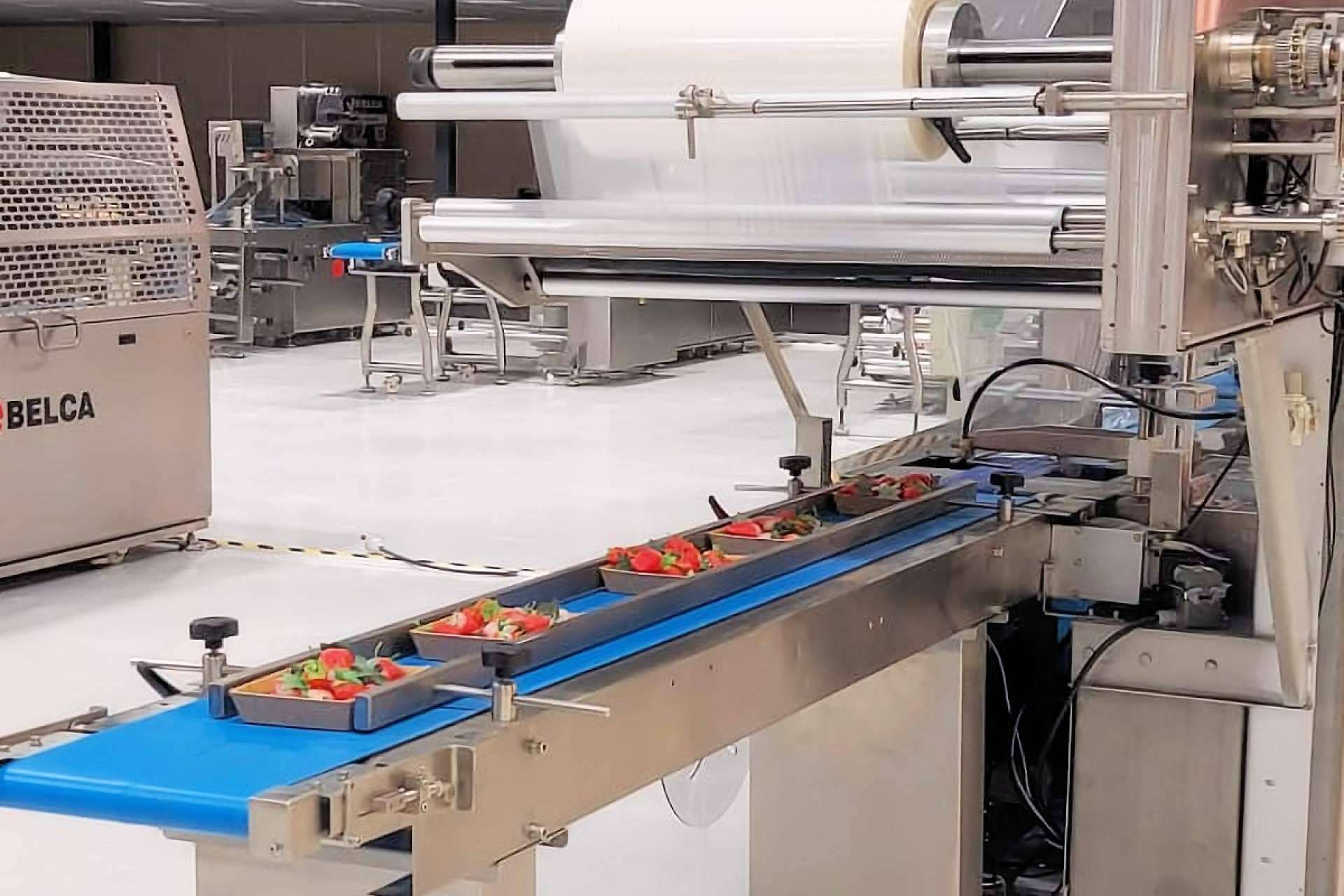 Envasado flow-pack; Garantía en la distribución de productos hortofrutícolas