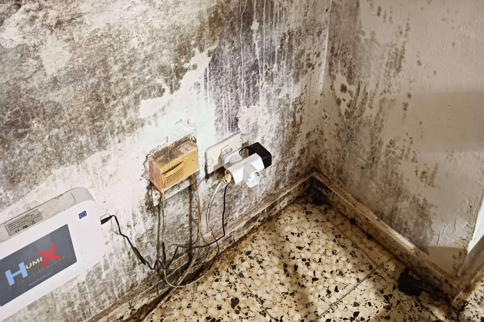 Moho; un enemigo invisible que afecta a la salud y al hogar