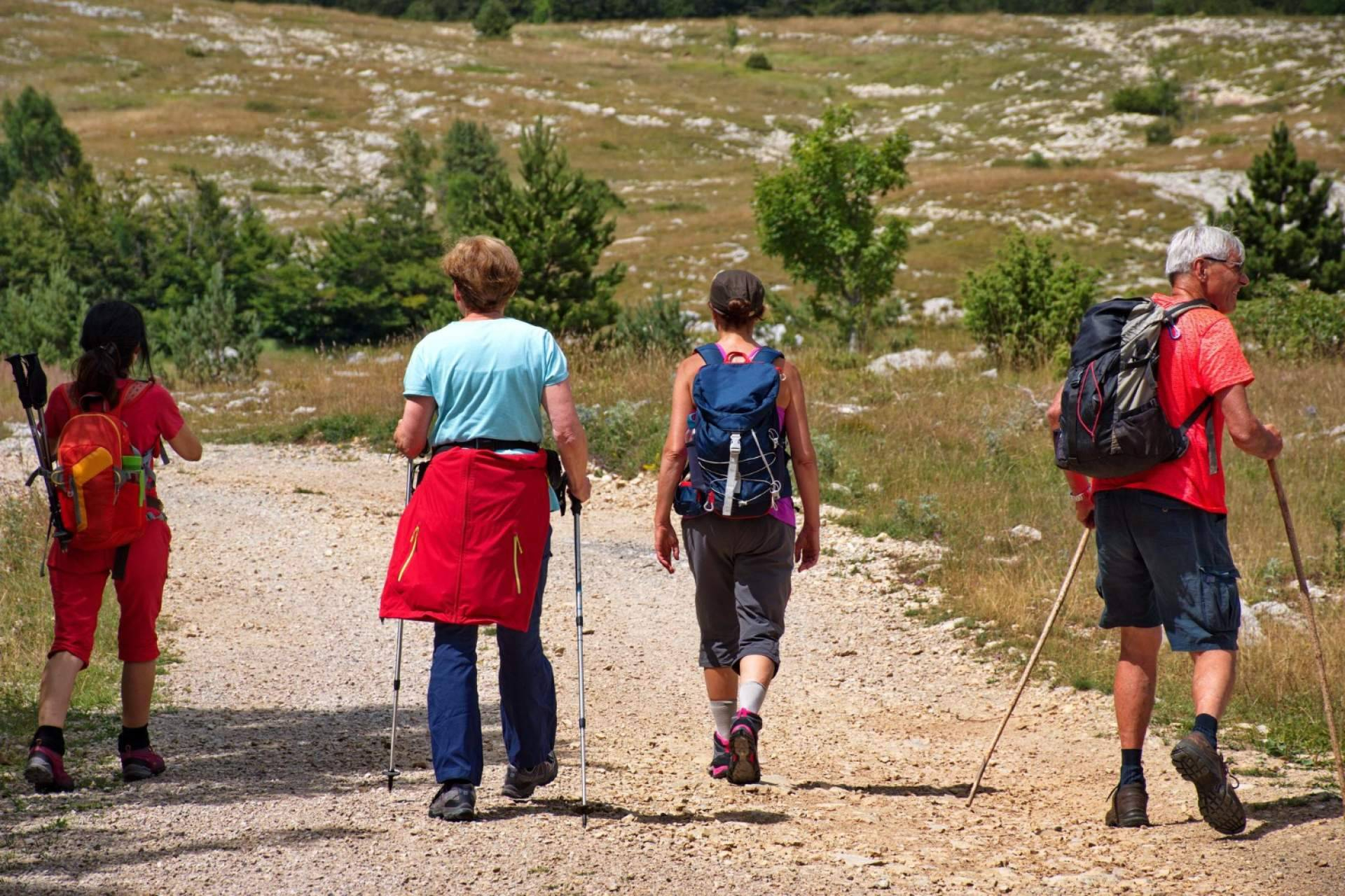 Caminocomodo.com facilita el Camino de Santiago con transporte de equipajes y traslados para peregrinos