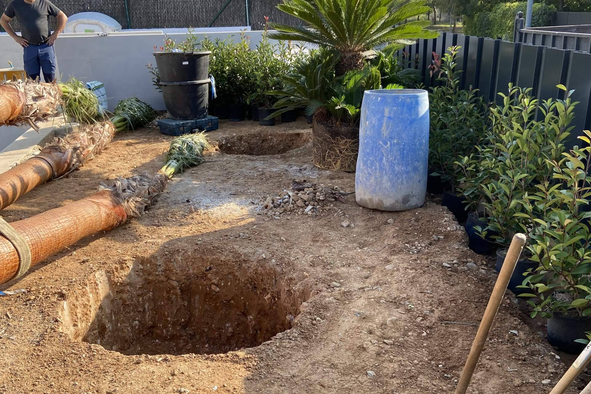 Empresa de Jardinería en Barcelona; creando espacios verdes sostenibles y duraderos