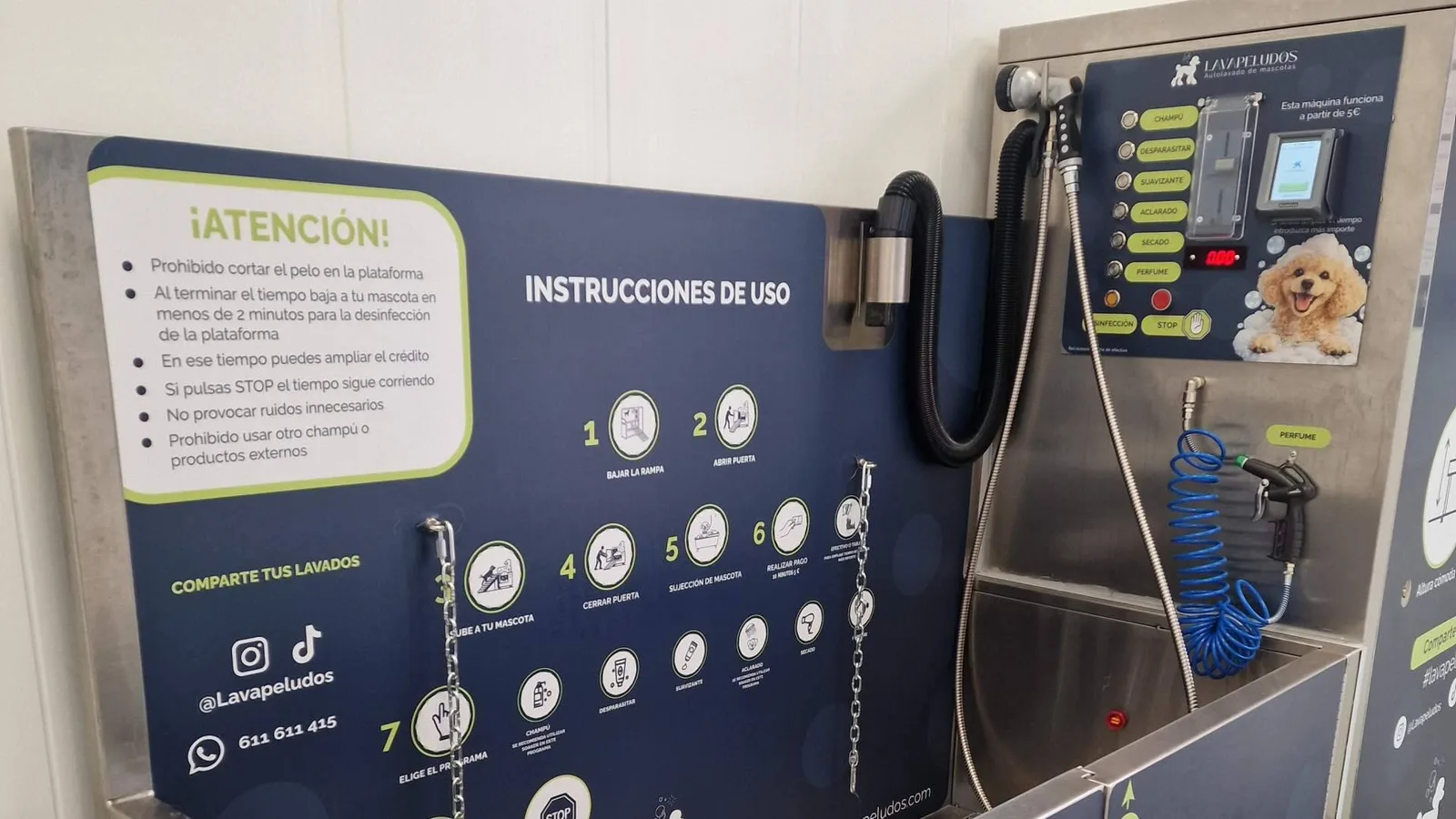 Adiós a bañar al perro en casa; Lavapeludos ofrece la alternativa que ya conquista a cientos de familias
